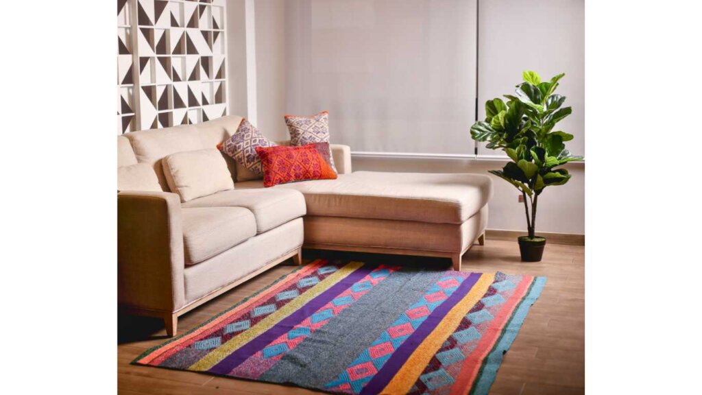 Boho Rug Living Room